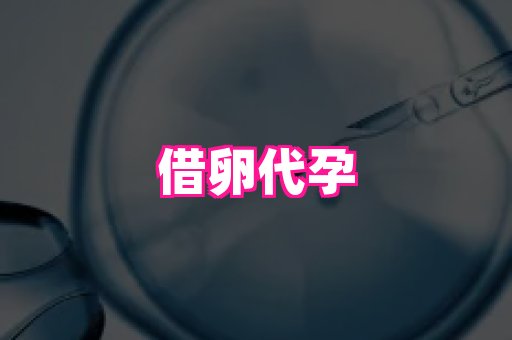 哈尔滨助孕网 2