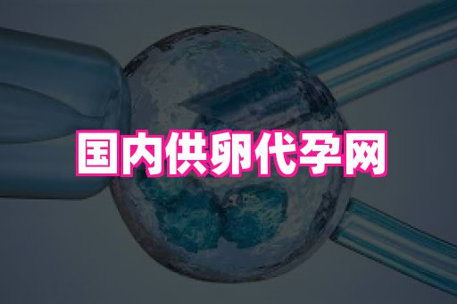 哈尔滨助孕网 3